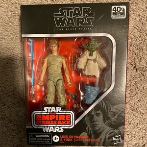 Starwars black series sky walker and yoda